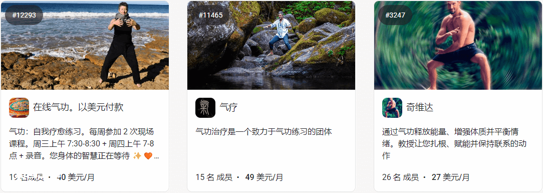 中国传统文化出海,利用国外知识星球Skool赚美金