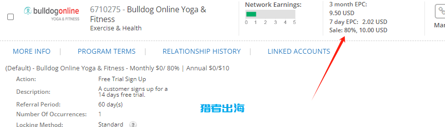 独立站常见赚钱方式(三):销售虚拟资源/虚拟产品