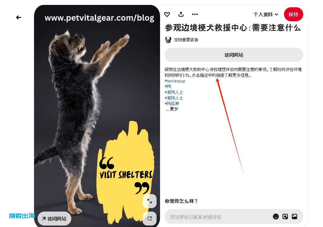 利用Pinterest推广宠物电子书赚钱，每月被动收入675美金