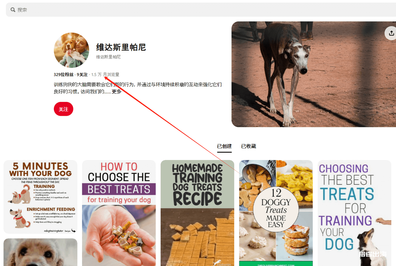 利用Pinterest推广宠物电子书赚钱，每月被动收入675美金