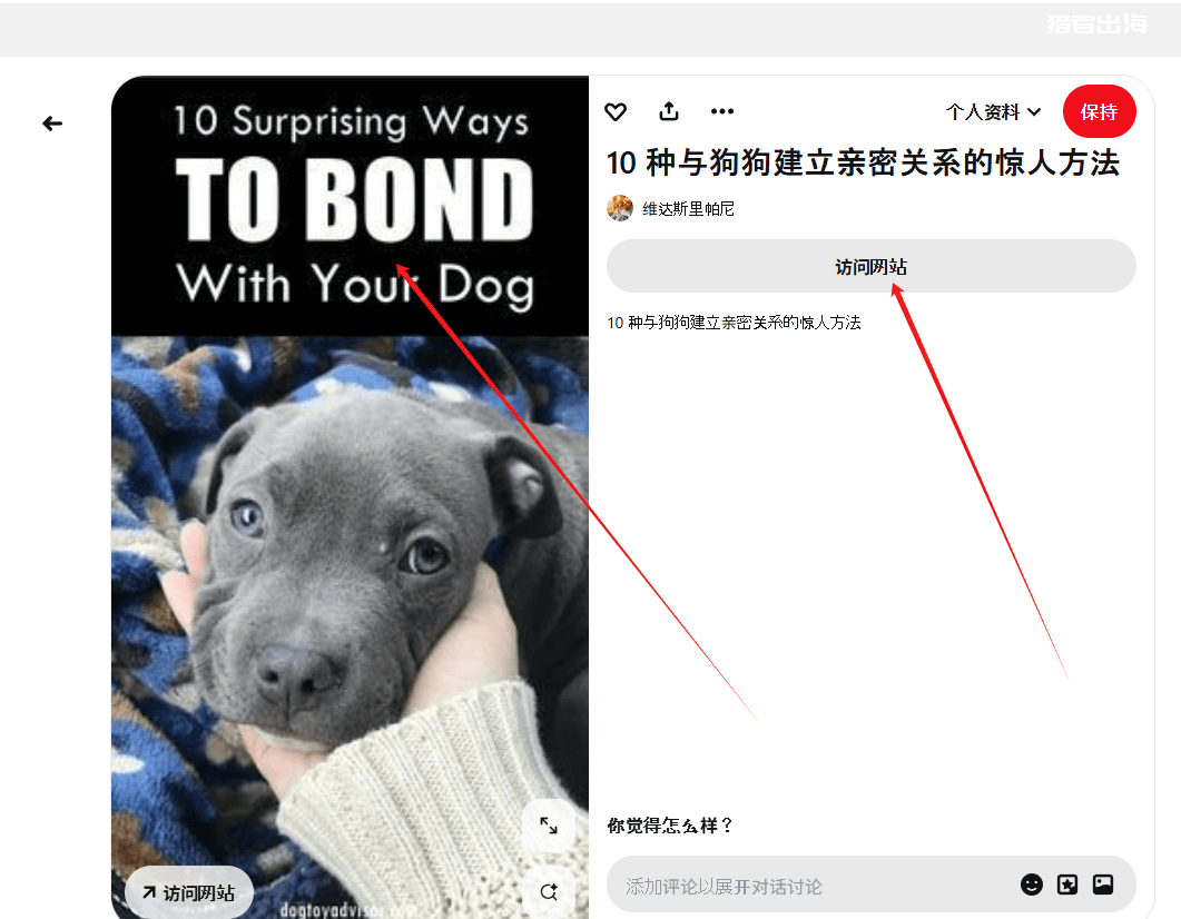利用Pinterest推广宠物电子书赚钱，每月被动收入675美金