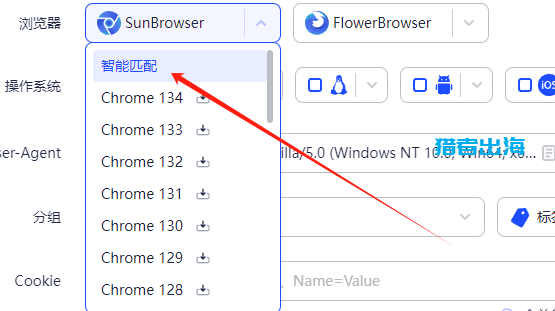 adspower指纹浏览器怎么用,附代理IP使用教程全攻略