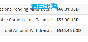 独立站常见赚钱方式（五）：联盟营销