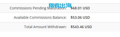 独立站常见赚钱方式（五）：联盟营销