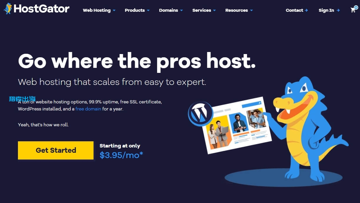 HostGator怎么样?2025年HostGator vps主机详细测评