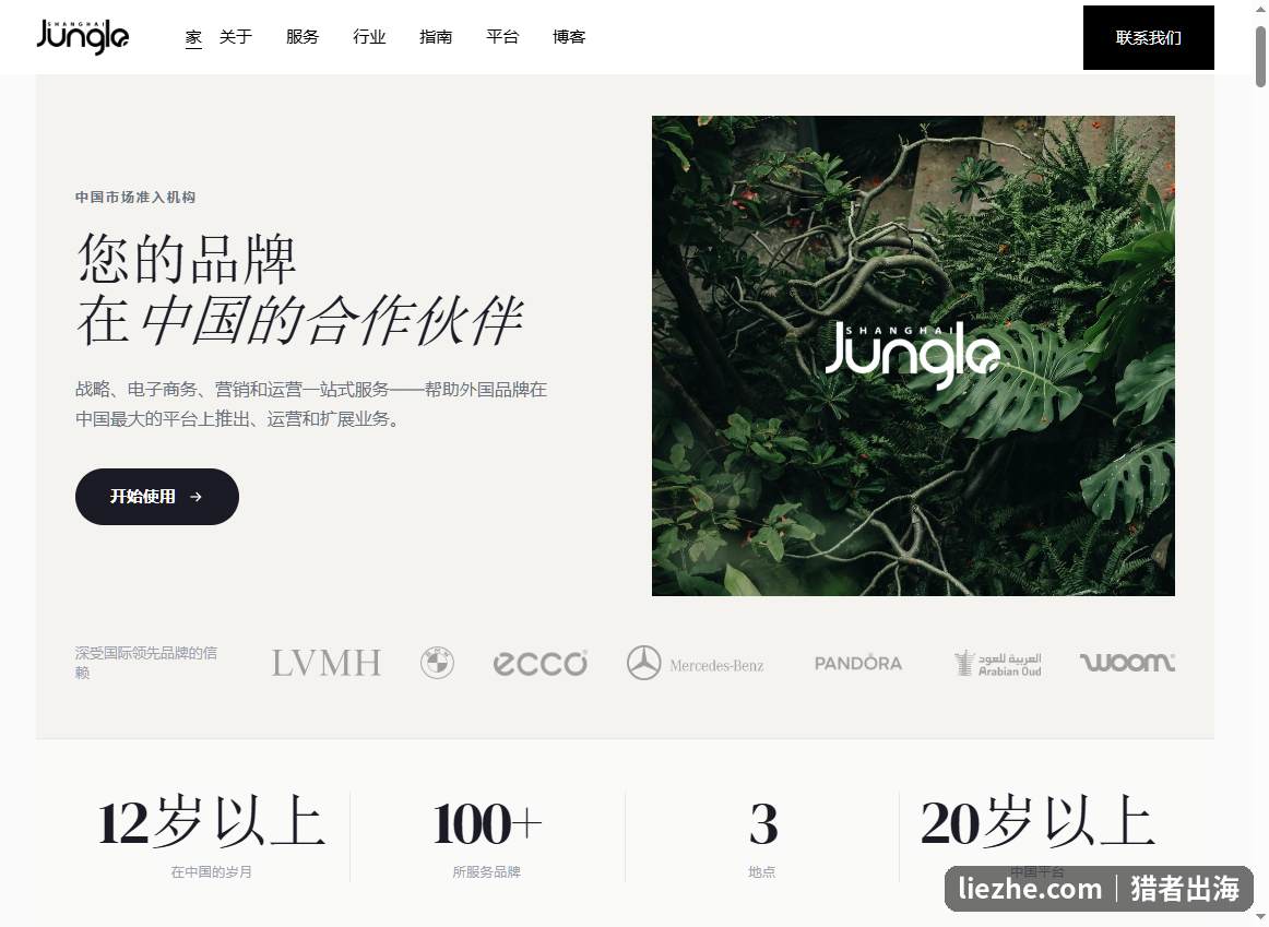 Shanghai Jungle等TP代运营机构官网，服务LVMH宝马等国际大牌