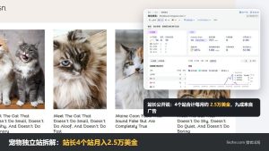 宠物独立站拆解封面：养猫站msn栏目页和Semrush流量图，站长4个站月入2.5万美金