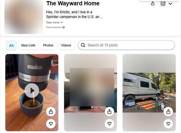 The Wayward Home的亚马逊网红店，标着Earns revenue和15条帖子
