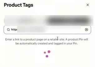 Pinterest Tag Products里的Use a Link面板