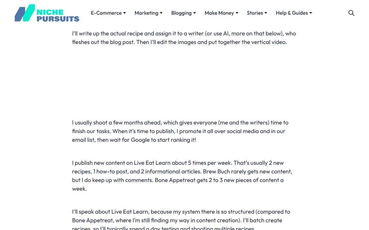 Niche Pursuits 对 Sarah Bond 的采访页,写到她用写手或 AI 扩写文章、Brew Buch 很少更新新内容