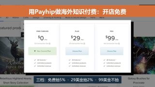 利用Payhip平台做海外知识付费项目，一天进账800美金